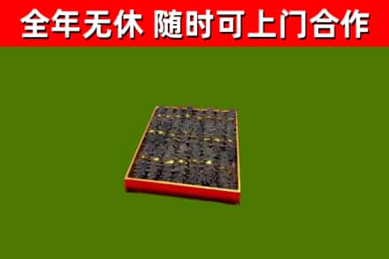 桥西回收海参